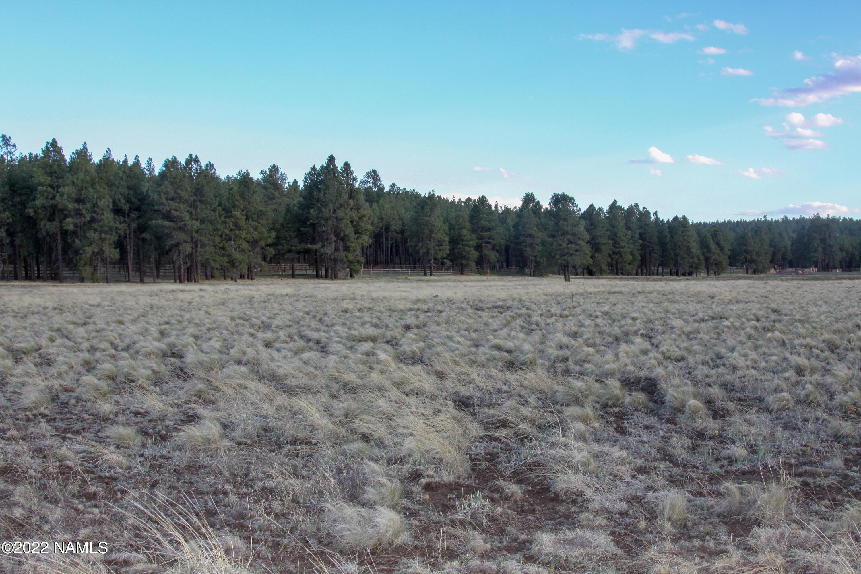 4540 Brackin Ranch Road Flagstaff, AZ 86001 - Photo 10 of 11 IMG_9892 keep