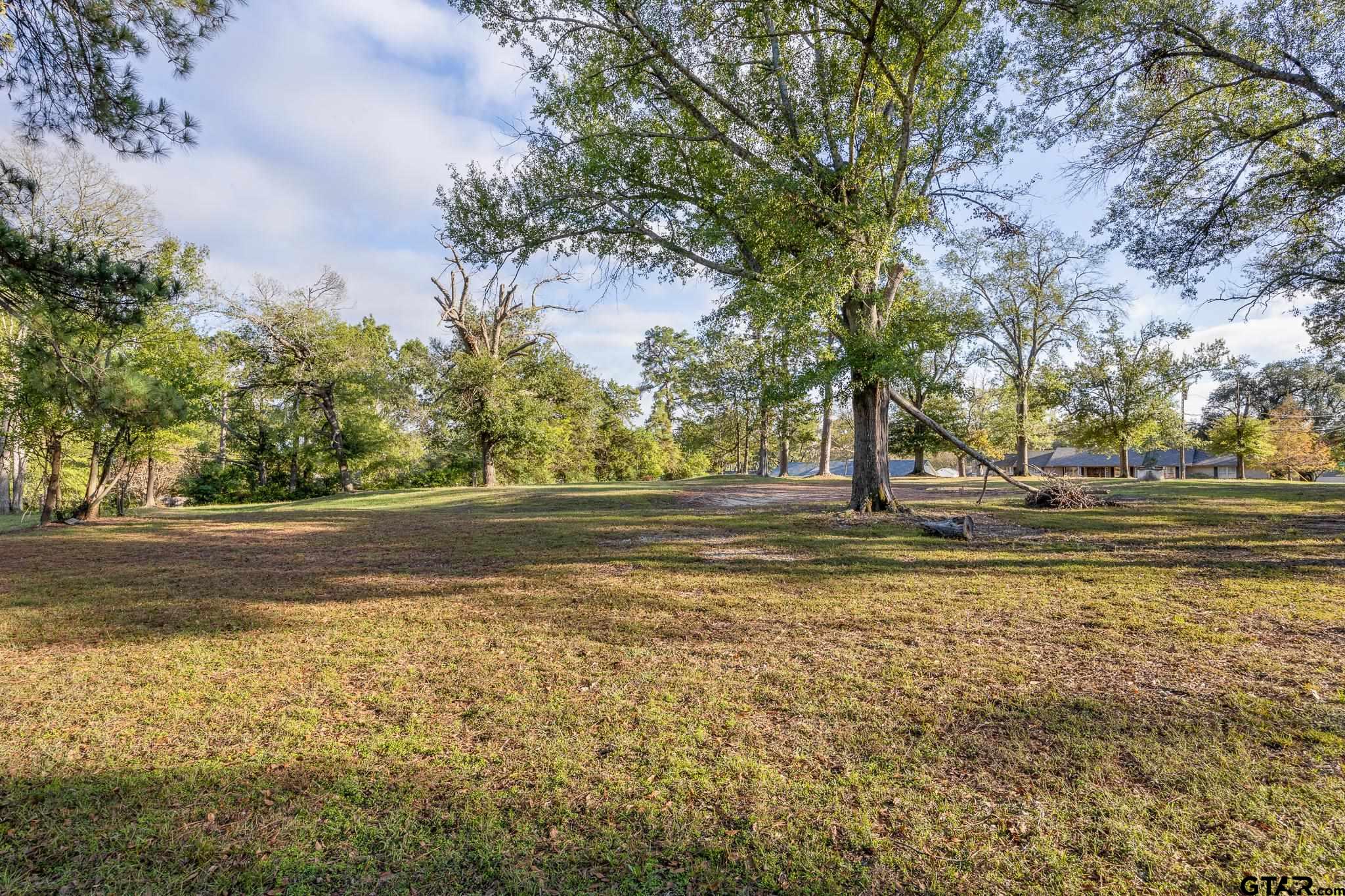 1920 McDonald Road Tyler, TX 75701 - Photo 11 of 13