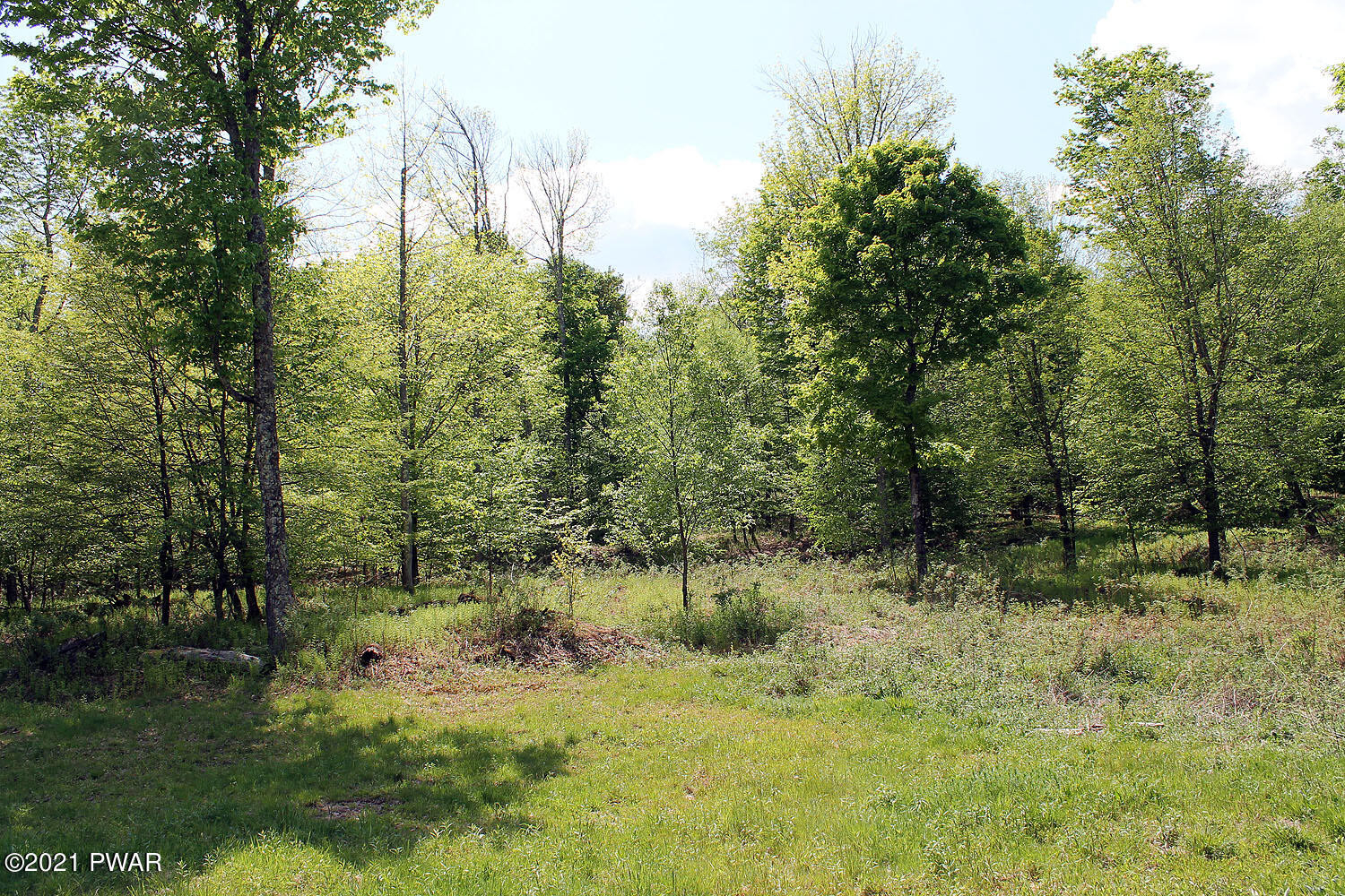 1 Robbs Road Damascus, PA 18415 - Photo 10 of 18 IMG_3521