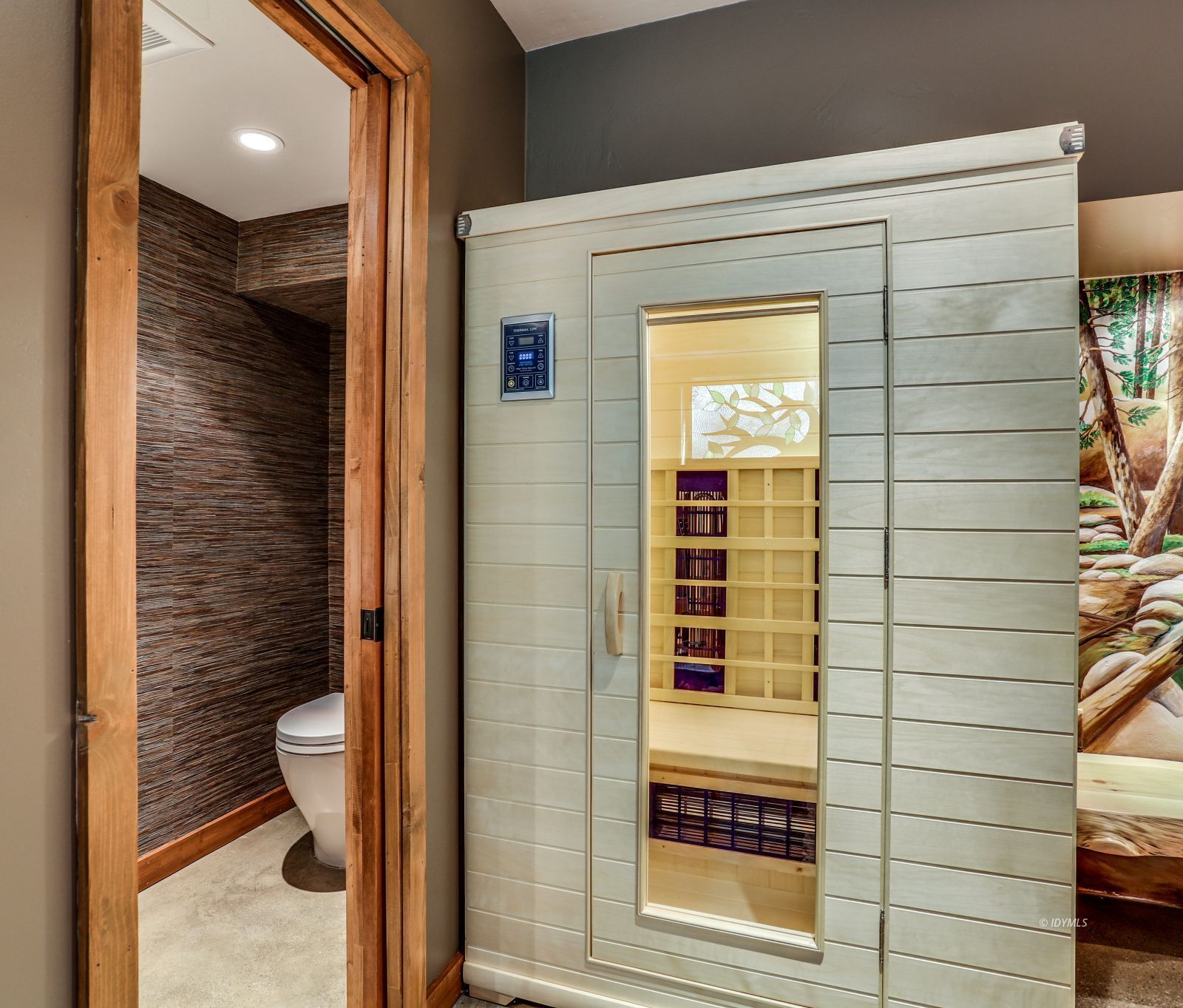 24581 Fern Valley Road Idyllwild, CA 92549 - Photo 38 of 50 UV sauna