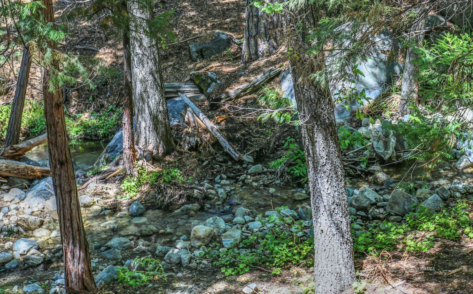 24581 Fern Valley Road Idyllwild, CA 92549 - Photo 50 of 50 Strawberry creek!