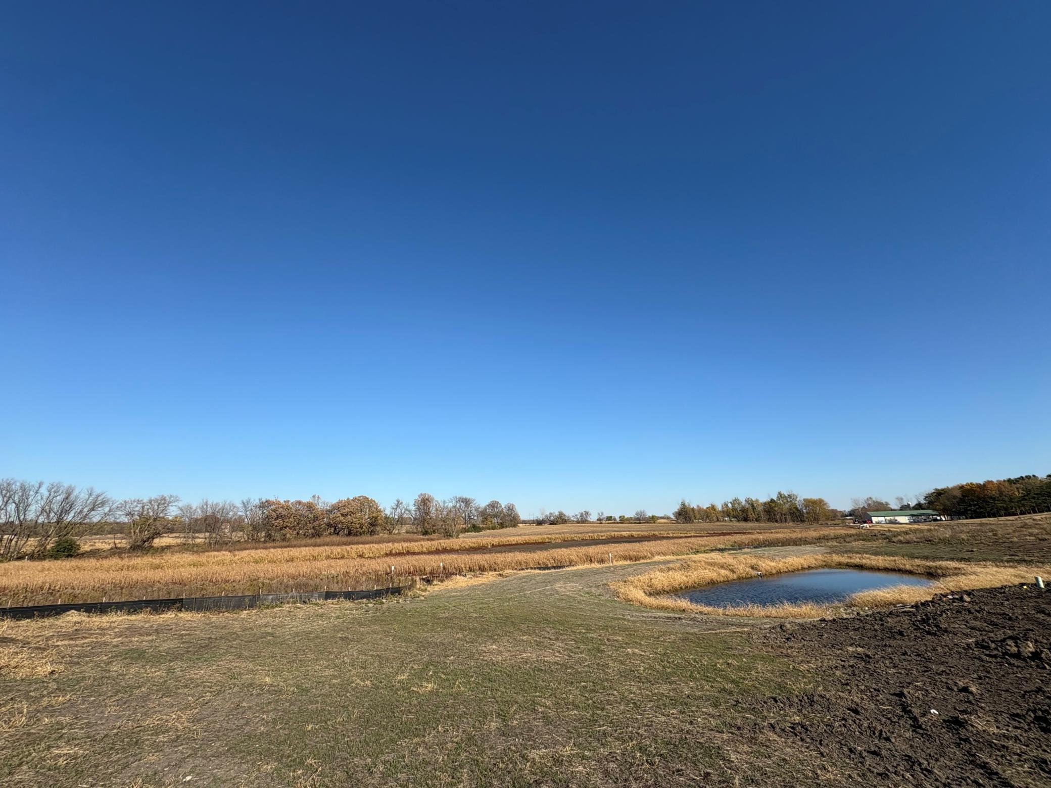 11032 Taylor Lane Rogers, MN 55374 - Photo 3 of 6
