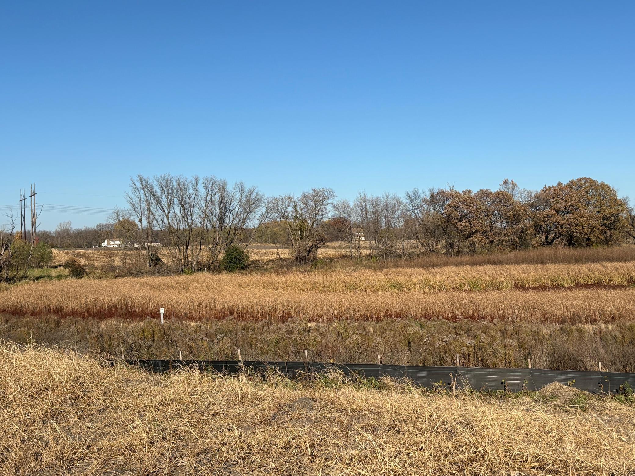 11032 Taylor Lane Rogers, MN 55374 - Photo 6 of 6
