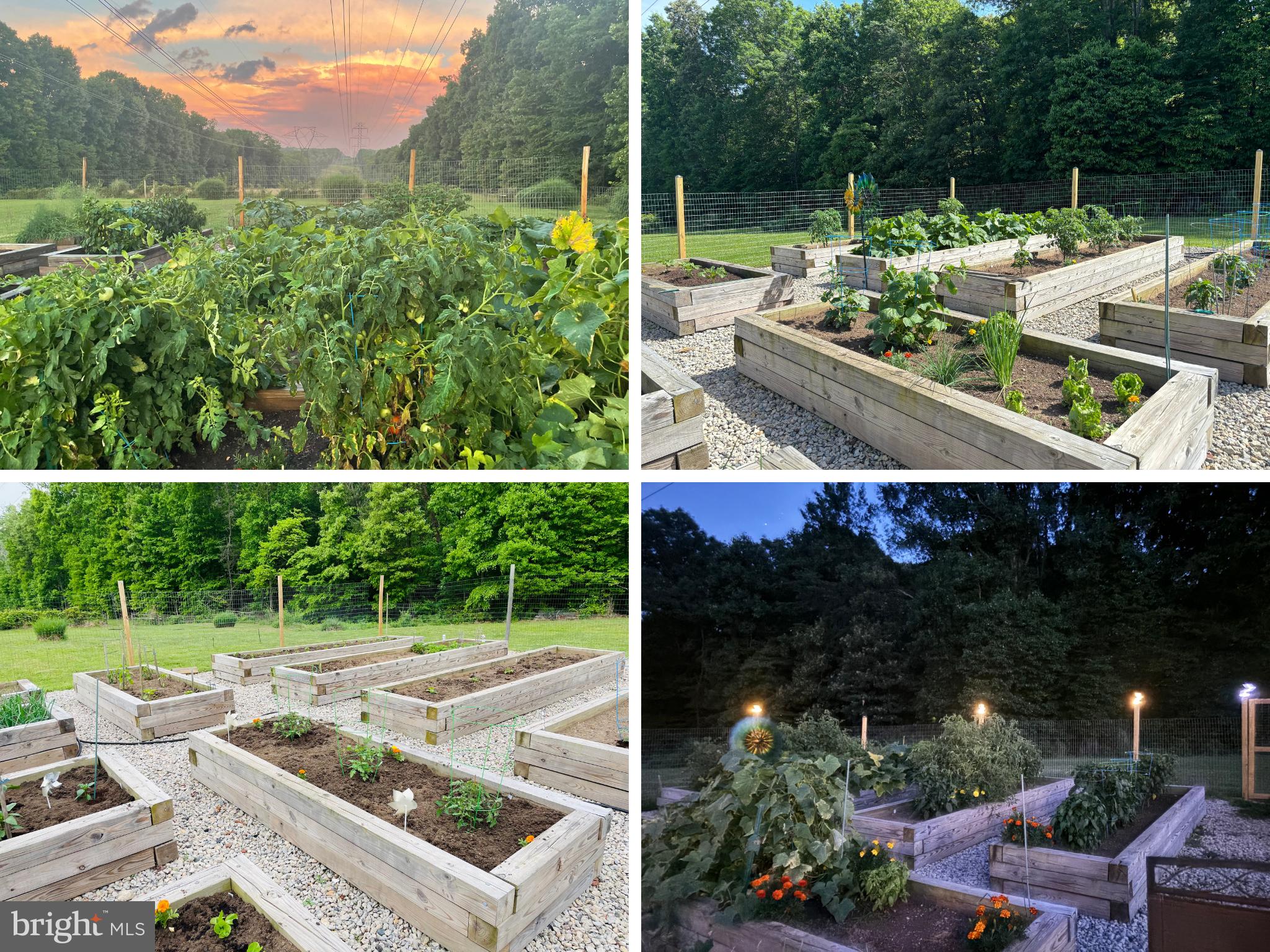 7427 Maple Branch Road Clifton, VA 20124 - Photo 81 of 100 Seller Seasonal Photos of Fenced Garden