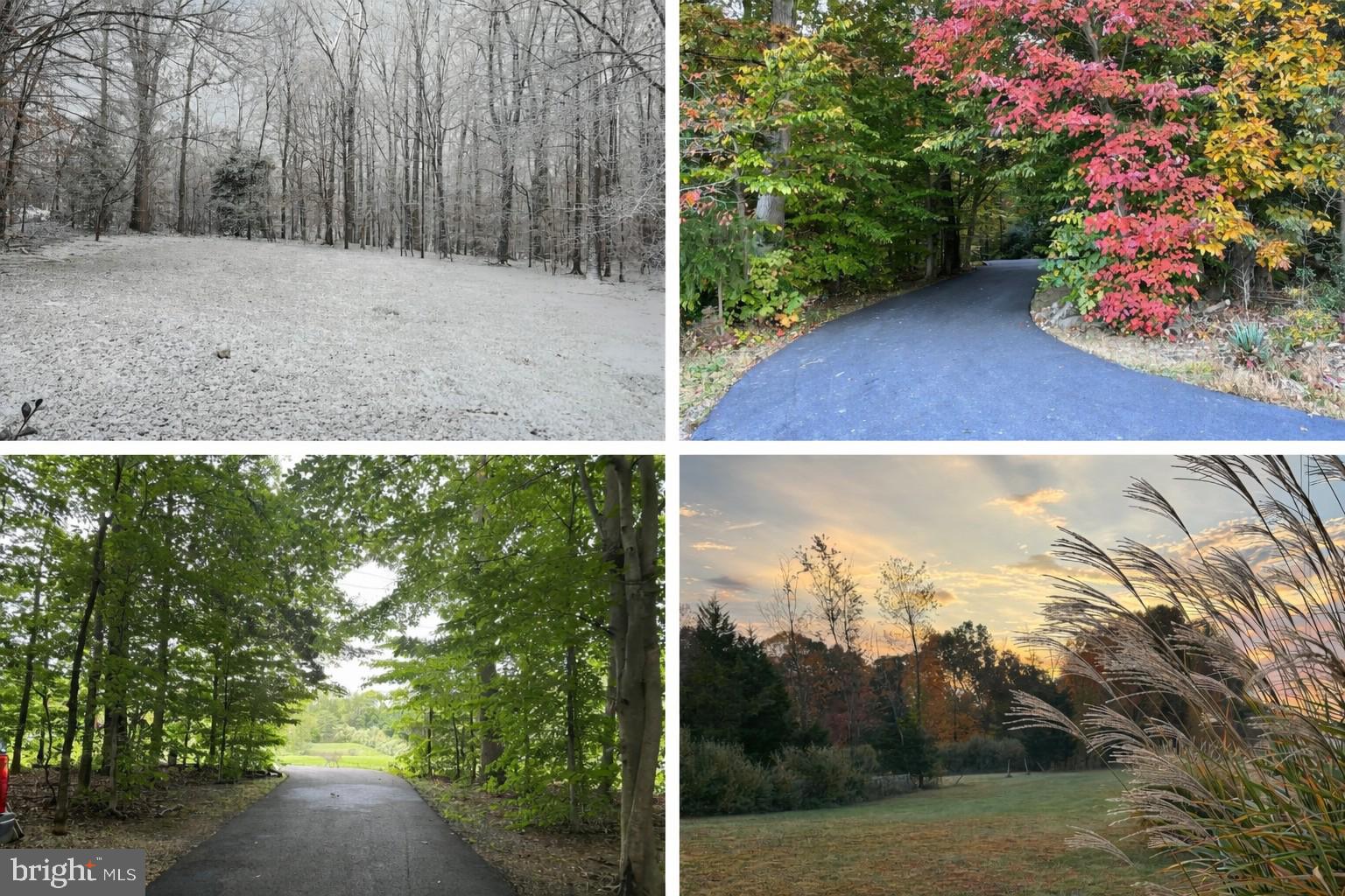 7427 Maple Branch Road Clifton, VA 20124 - Photo 82 of 100 Seller Seasonal Photos of Property