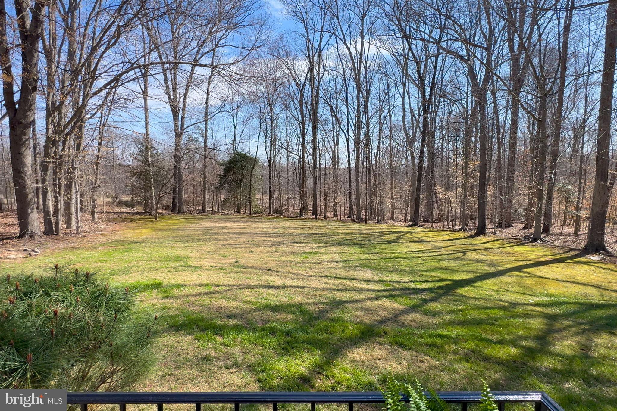 7427 Maple Branch Road Clifton, VA 20124 - Photo 94 of 100 Turnkey 4BD/4BA Home with Tons of Upgrades!