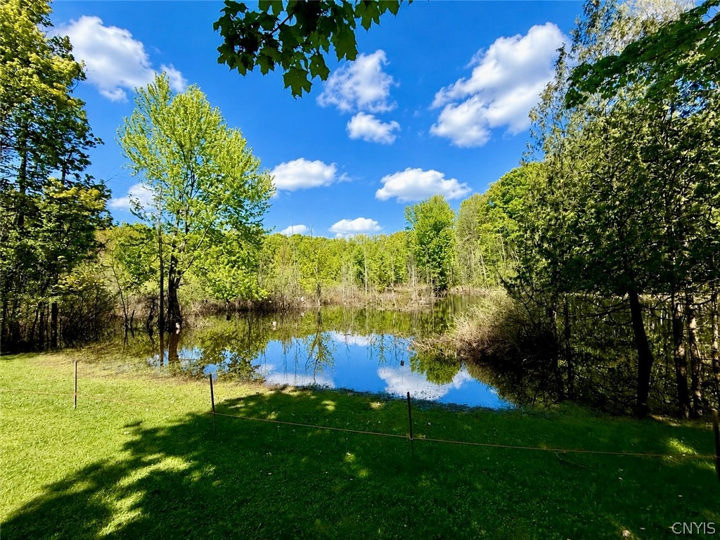 8665 Kinderhook Road Manlius, NY 13082 - Photo 34 of 34