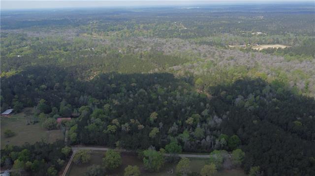 10-acres Holliday Road Folsom, LA 70437 - Photo 2 of 8