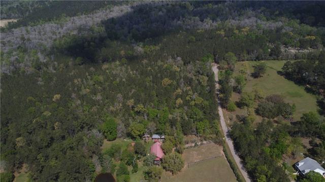 10-acres Holliday Road Folsom, LA 70437 - Photo 4 of 8