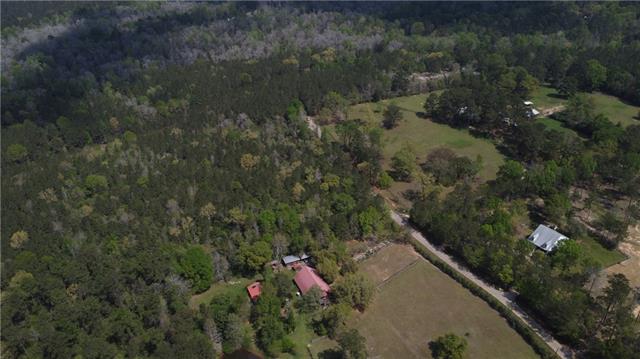 10-acres Holliday Road Folsom, LA 70437 - Photo 5 of 8