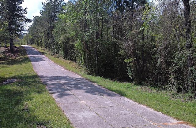 10-acres Holliday Road Folsom, LA 70437 - Photo 6 of 8