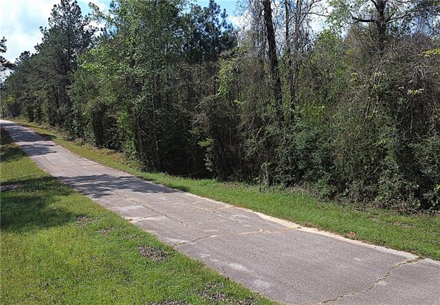 10-acres Holliday Road Folsom, LA 70437 - Photo 7 of 8
