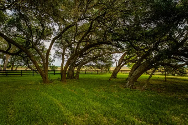 $2,495,000 | 104 Hartfield Hill Lane, Round Top, TX 78954