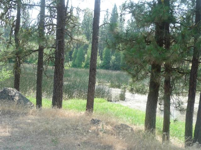 28405 West Tucker Prairie Road Edwall, WA 99008 - Photo 14 of 19 Gallery Image 14