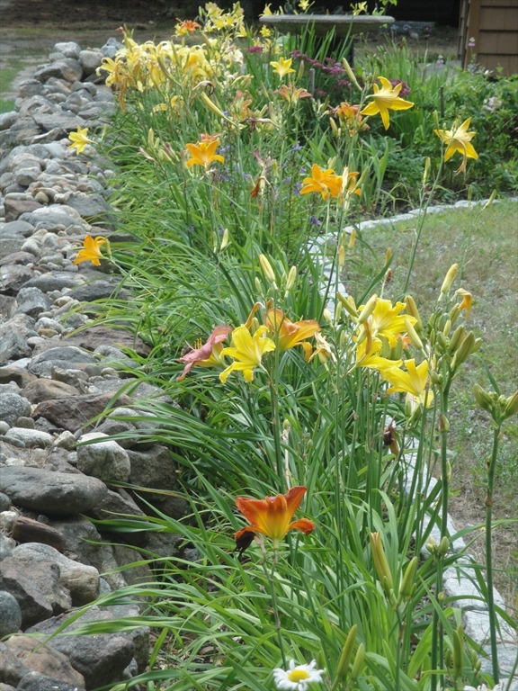 162 Sherbert Road Ashburnham, MA 01430 - Photo 30 of 38