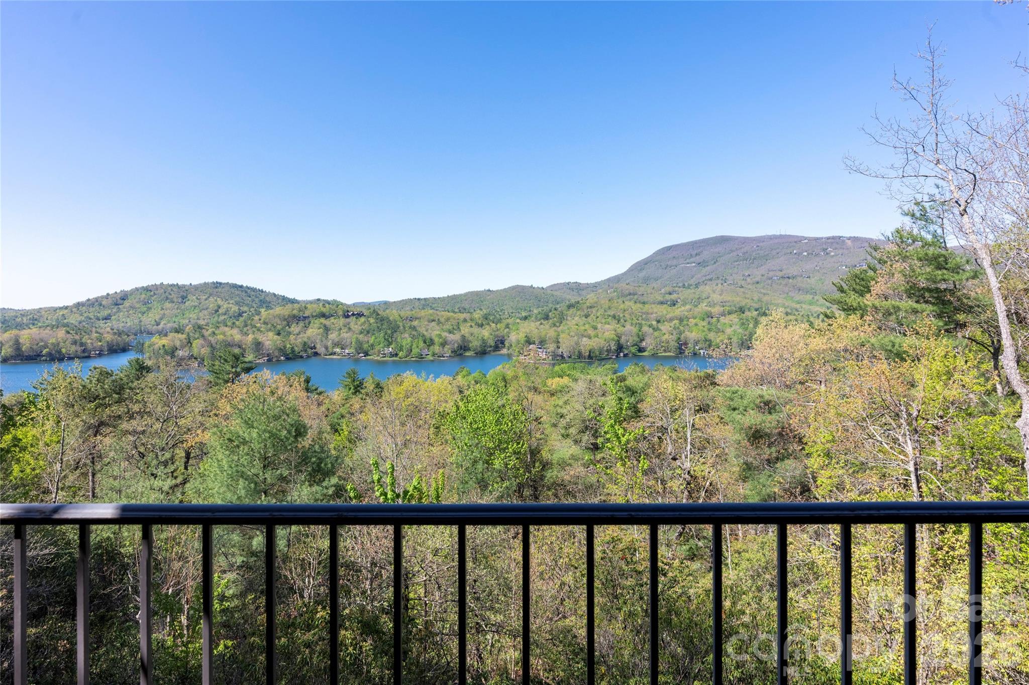 601 Hawk Mountain Road Lake Toxaway, NC 28747 - Photo 29 of 48 a view of a green landscape from a balcony
