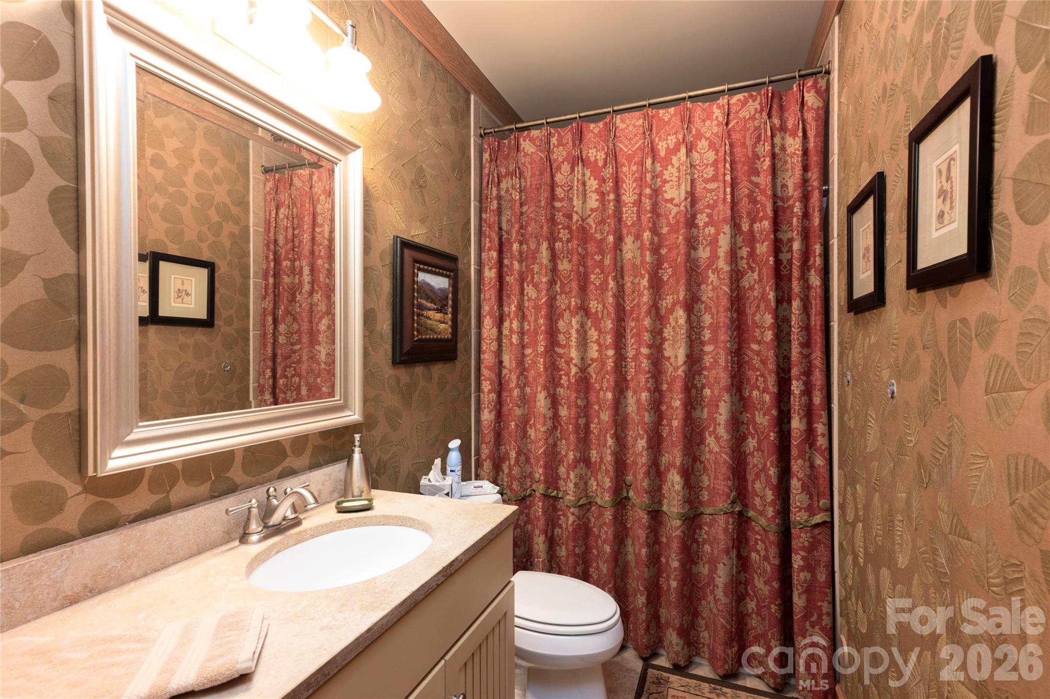 601 Hawk Mountain Road Lake Toxaway, NC 28747 - Photo 39 of 48 a bathroom with a sink a toilet and shower curtain