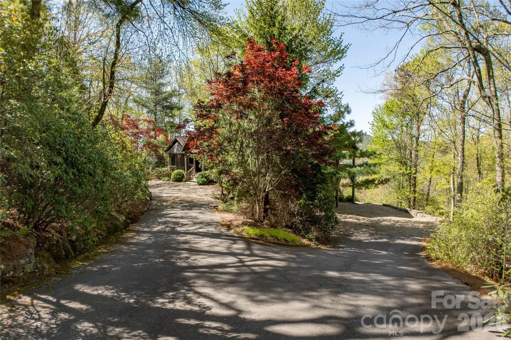 601 Hawk Mountain Road Lake Toxaway, NC 28747 - Photo 42 of 48 a view of a yard with plants and trees