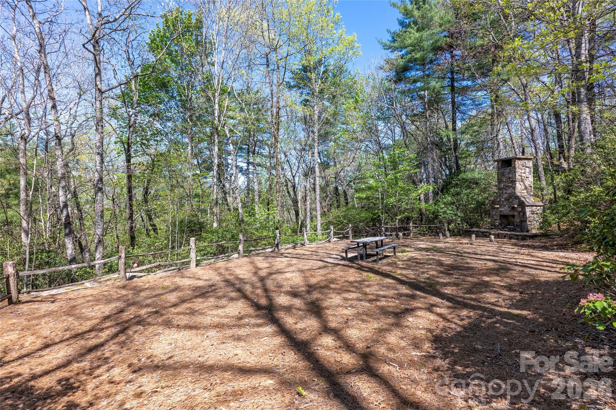 601 Hawk Mountain Road Lake Toxaway, NC 28747 - Photo 43 of 48 a view of backyard and trees