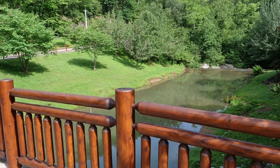 3225 Smoky Ridge Way Sevierville, TN 37862 - Photo 25 of 25