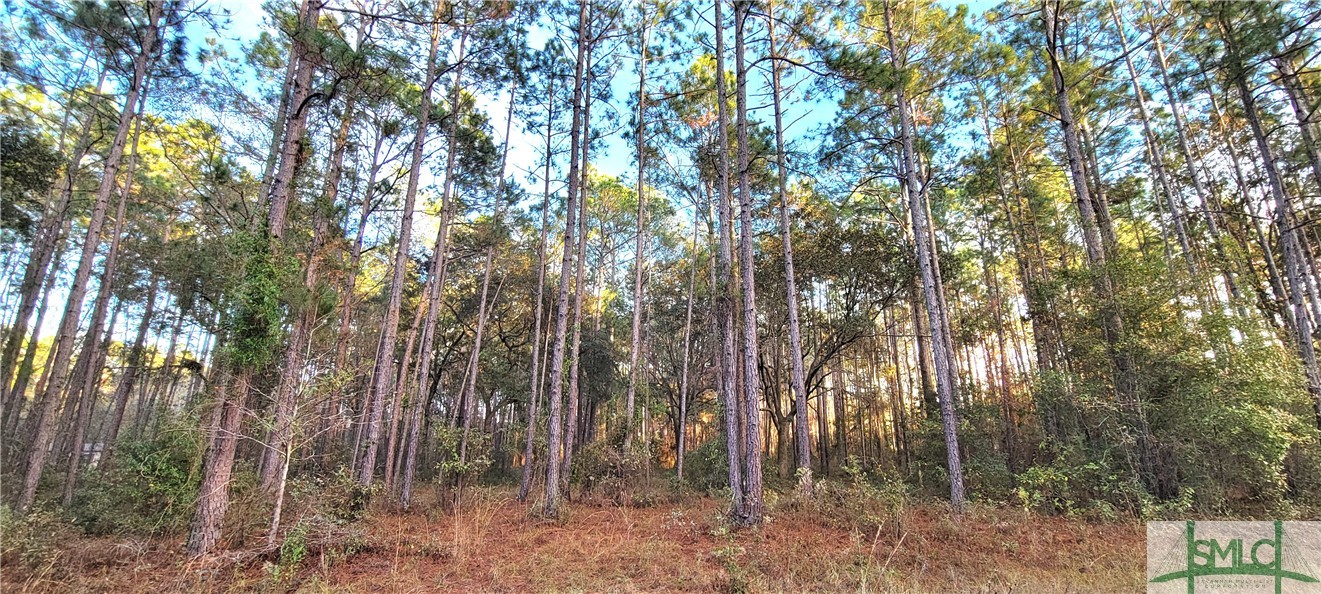 0 Polk Road Ellabell, GA 31308 - Photo 14 of 21
