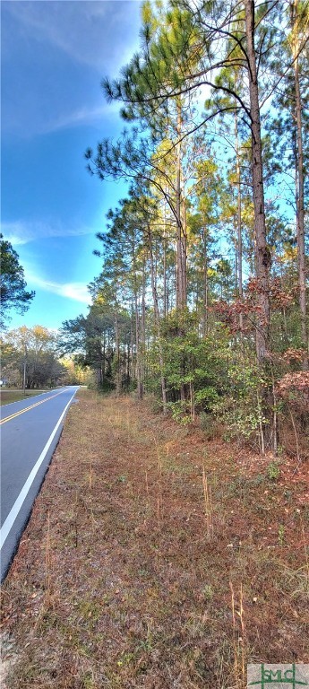 0 Polk Road Ellabell, GA 31308 - Photo 16 of 21