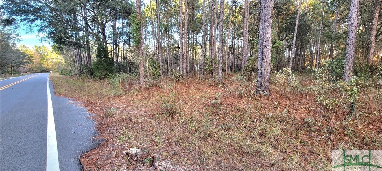 0 Polk Road Ellabell, GA 31308 - Photo 3 of 21