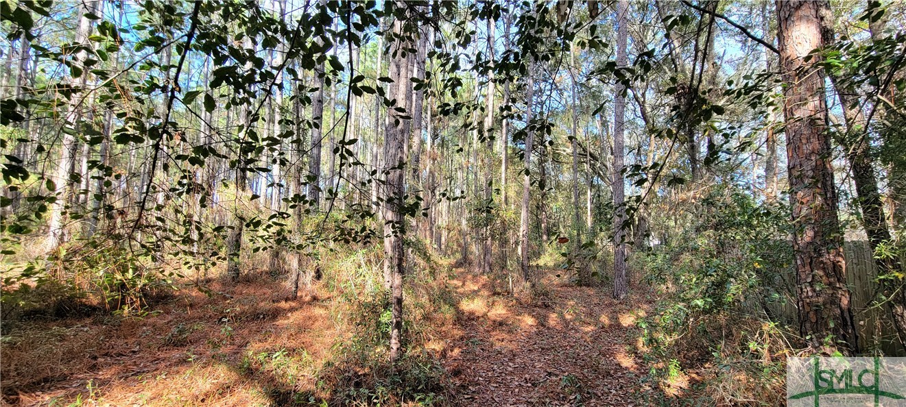 0 Polk Road Ellabell, GA 31308 - Photo 4 of 21