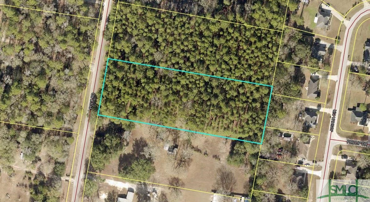 0 Polk Road Ellabell, GA 31308 - Photo 6 of 21