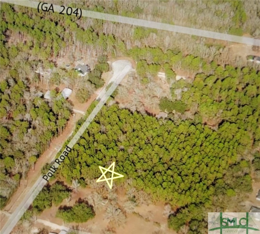 0 Polk Road Ellabell, GA 31308 - Photo 9 of 21