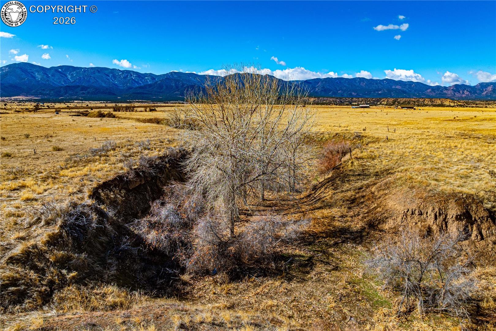 106 County Road 106 Rye, CO 81069 - Photo 17 of 35 Gallery Image 17