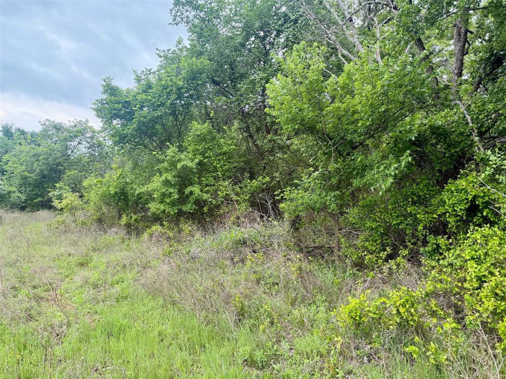 101 Campbell Lane Springtown, TX 76082 - Photo 7 of 10