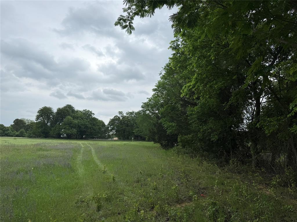 101 Campbell Lane Springtown, TX 76082 - Photo 8 of 10