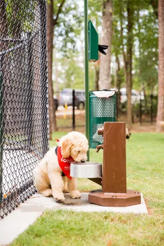 $1,159,000 | 416 Venado View Court, Conroe, TX 77304