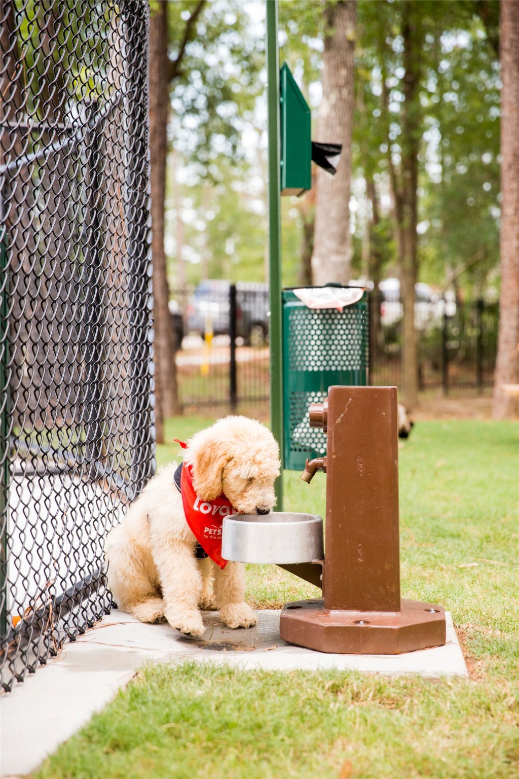 416 Venado View Court Conroe, TX 77304 - Photo 5 of 13 Dog Park