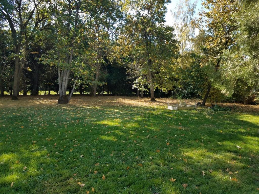 1359 Camp Baker Road Phoenix, OR 97535 - Photo 12 of 14 Large treed backyard with room for garde