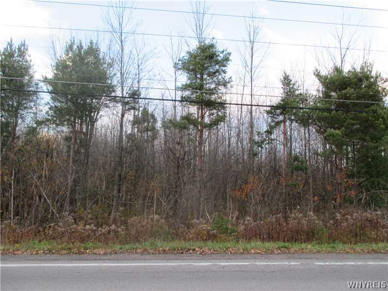 0 Michael Road Buffalo, NY 14224 - Photo 1 of 1 Exterior Front. Half acre treed lot 100 x 200. Ne