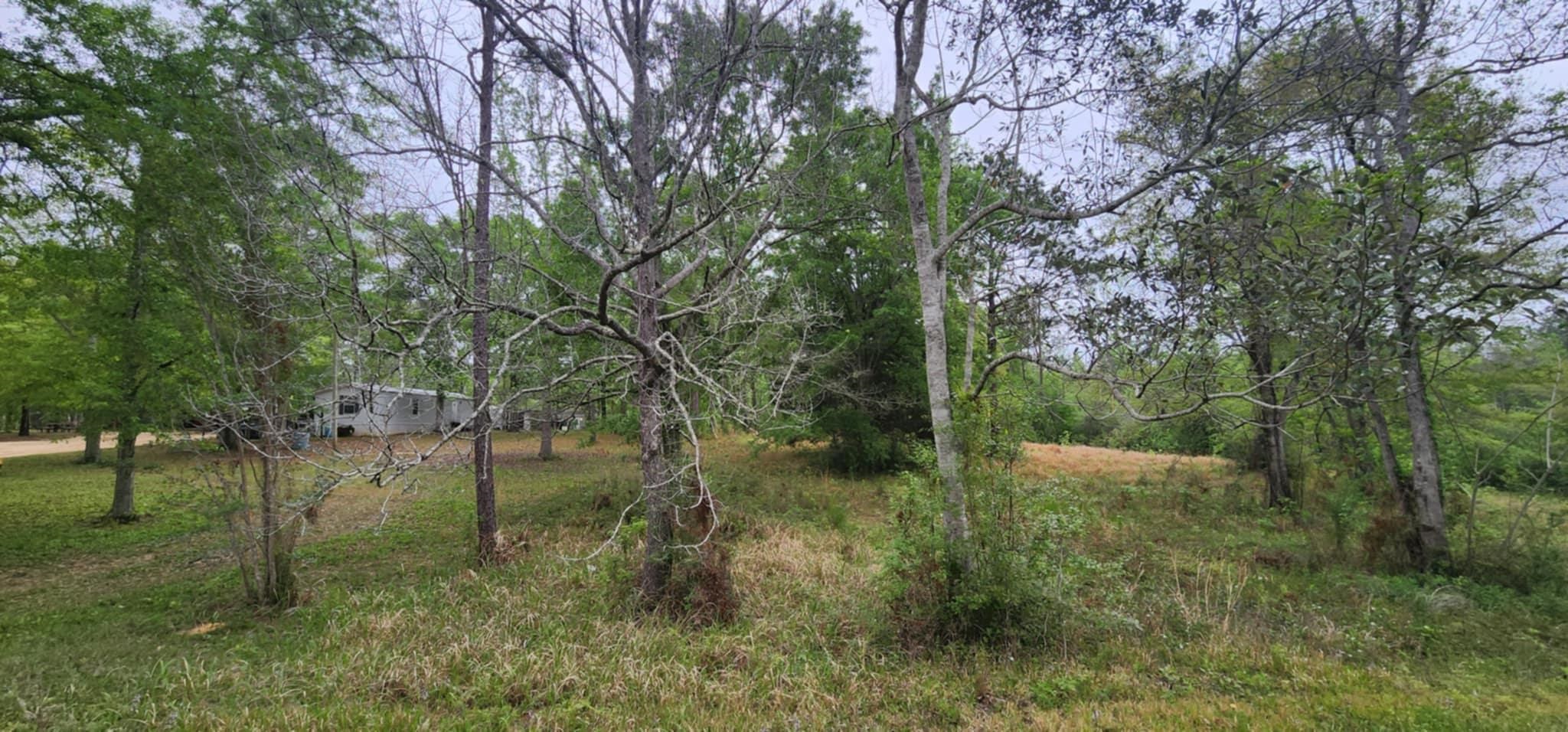 24407 Patterson Road Robertsdale, AL 36567 - Photo 9 of 18 View