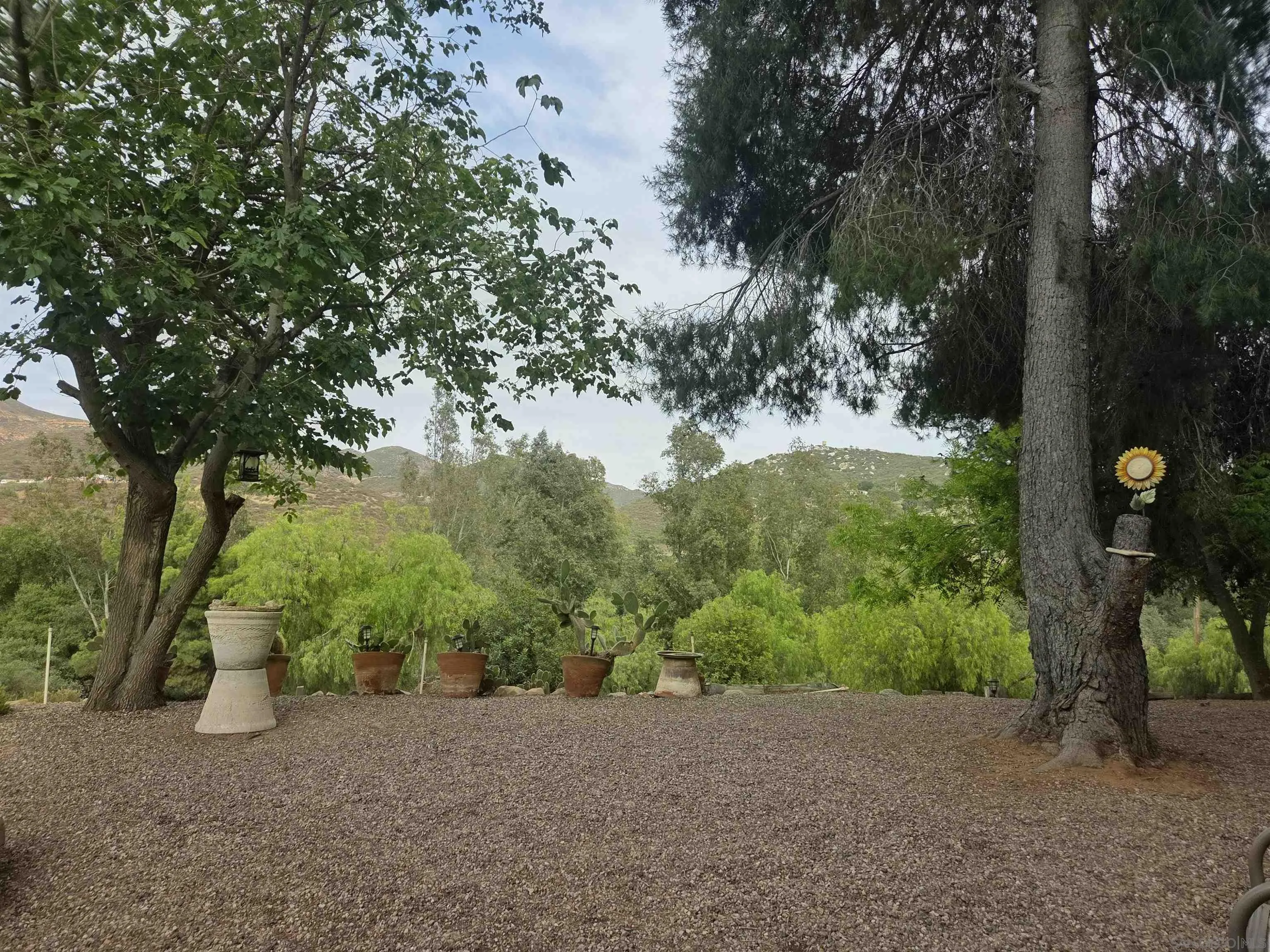 1388 Marron Valley Road Dulzura, CA 91917 - Photo 32 of 37