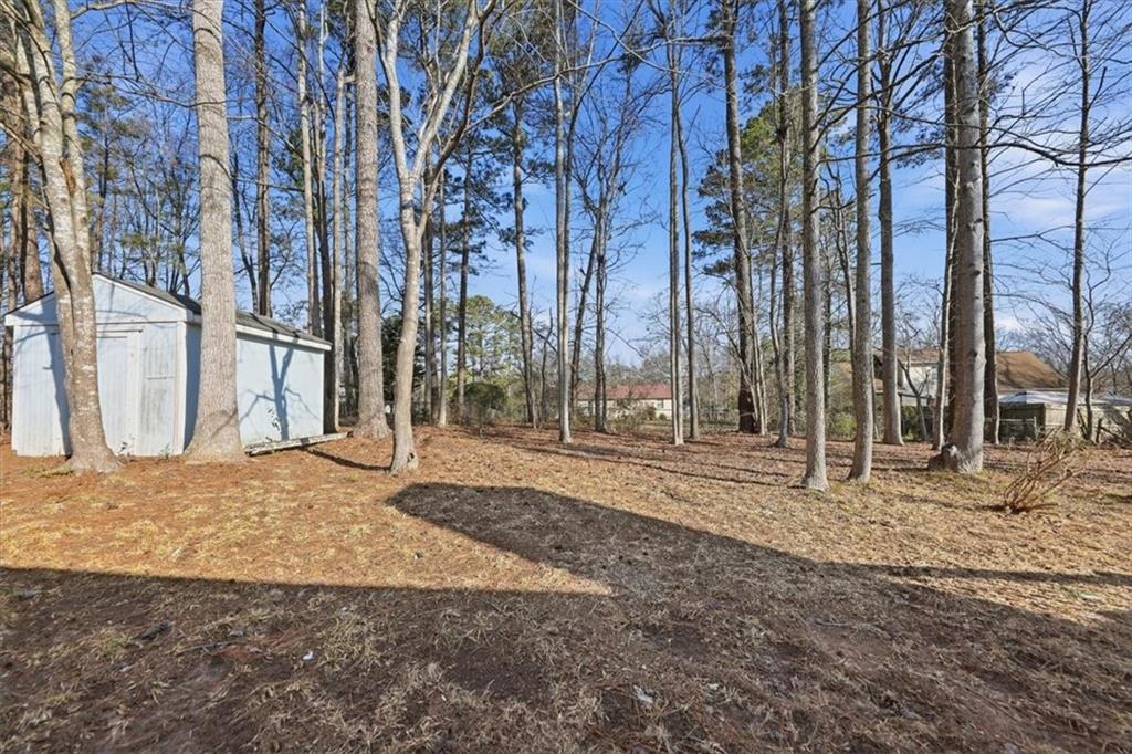 8976 Ochil Lane Winston, GA 30187 - Photo 43 of 53 a backyard of a house with lots of trees