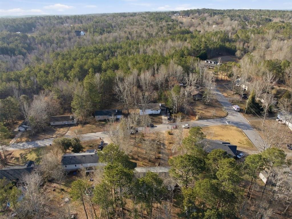 8976 Ochil Lane Winston, GA 30187 - Photo 53 of 53 a view of a yard with large trees