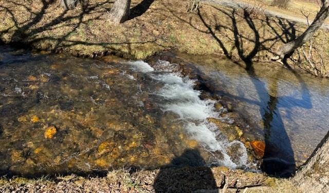 2.58 Upper Hightower Road Hiawassee, GA 30546 - Photo 2 of 8 a backyard of a house