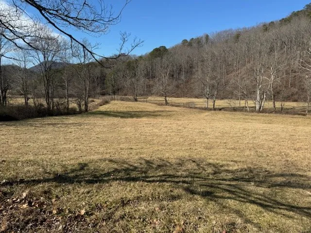 a view of yard with swimming pool and trees