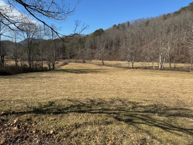 2.58 Upper Hightower Road Hiawassee, GA 30546 - Photo 3 of 8 a view of yard with swimming pool and trees