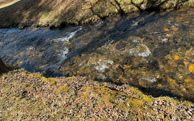 2.58 Upper Hightower Road Hiawassee, GA 30546 - Photo 4 of 8 a view of a yard with snow on the side of the road