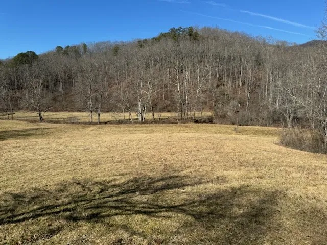 a view of a yard with a house in the background