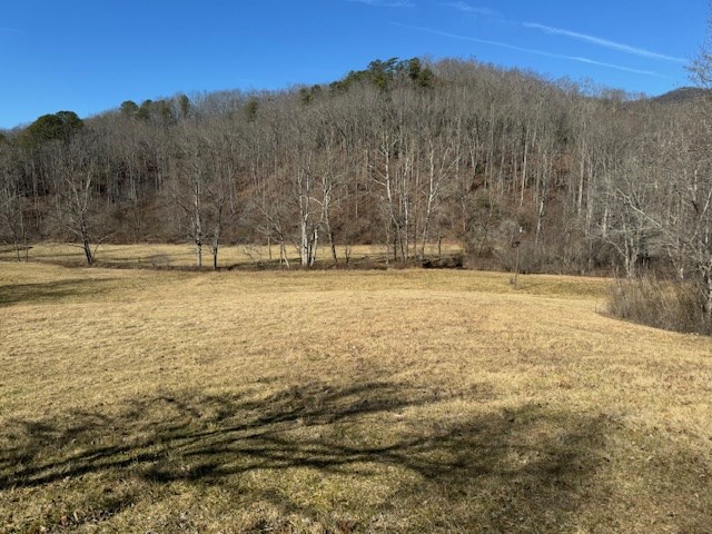 2.58 Upper Hightower Road Hiawassee, GA 30546 - Photo 6 of 8 a view of a yard with a house in the background