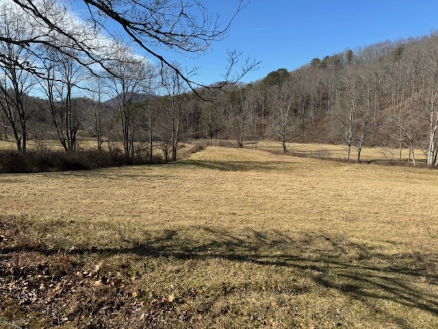 2.58 Upper Hightower Road Hiawassee, GA 30546 - Photo 8 of 8 a view of a yard with a snow