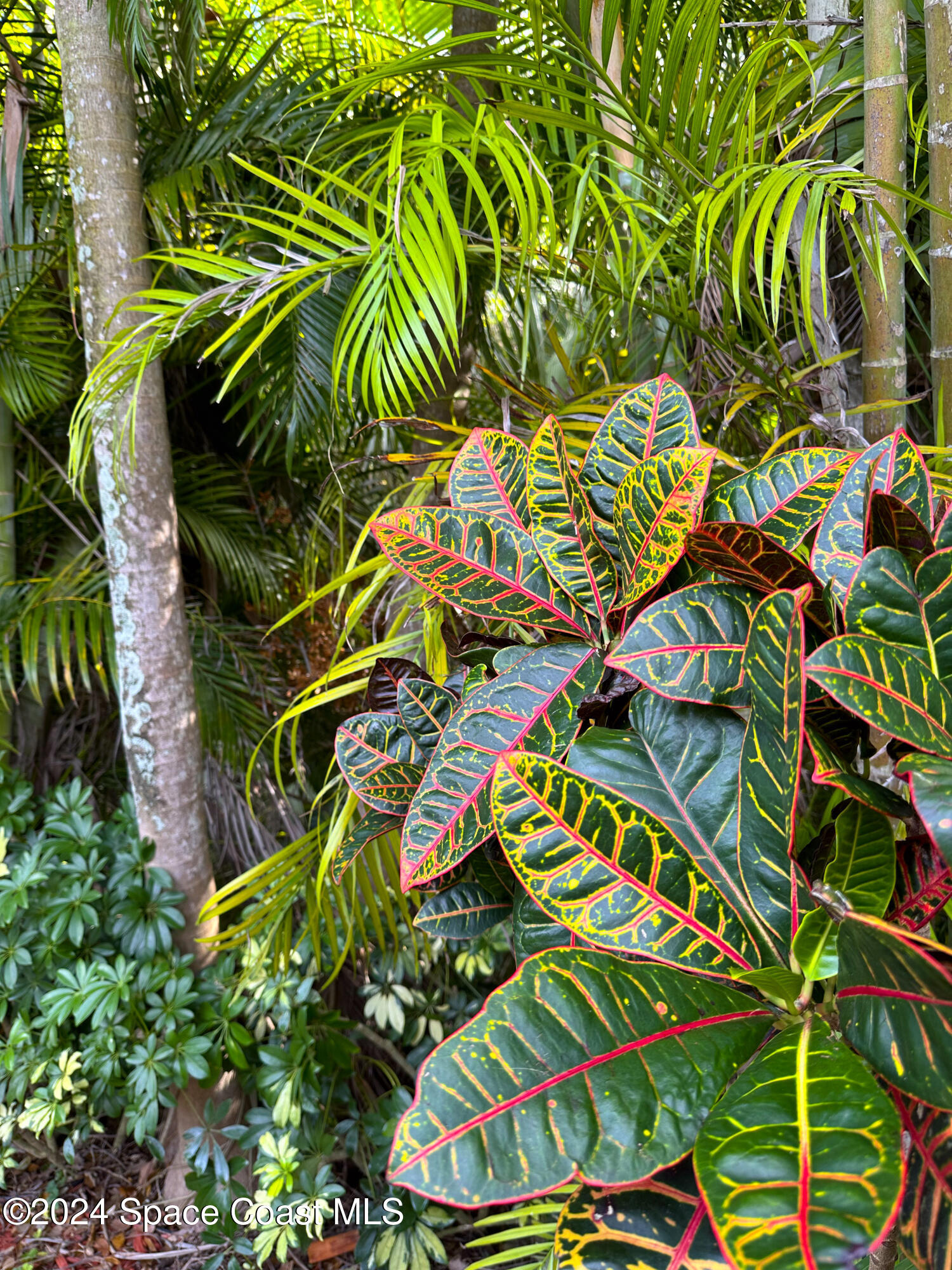 152 Morgan Circle Sebastian, FL 32958 - Photo 42 of 64 43-IMG_8561