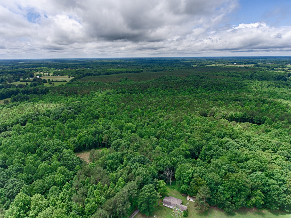 1218 Johnson Branch Road Pulaski, TN 38478 - Photo 1 of 23 a view of a big yard with plants and large trees